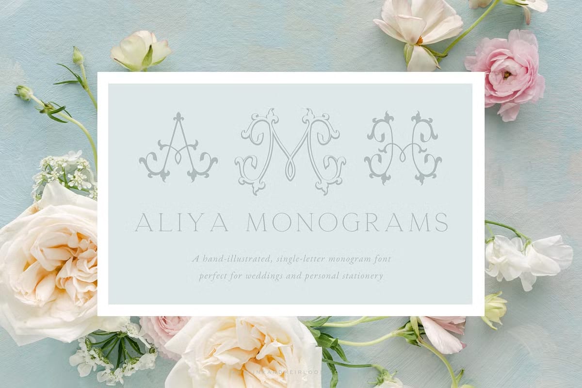 Aliya Monogram Font - Leasted - Graphics Template Resources