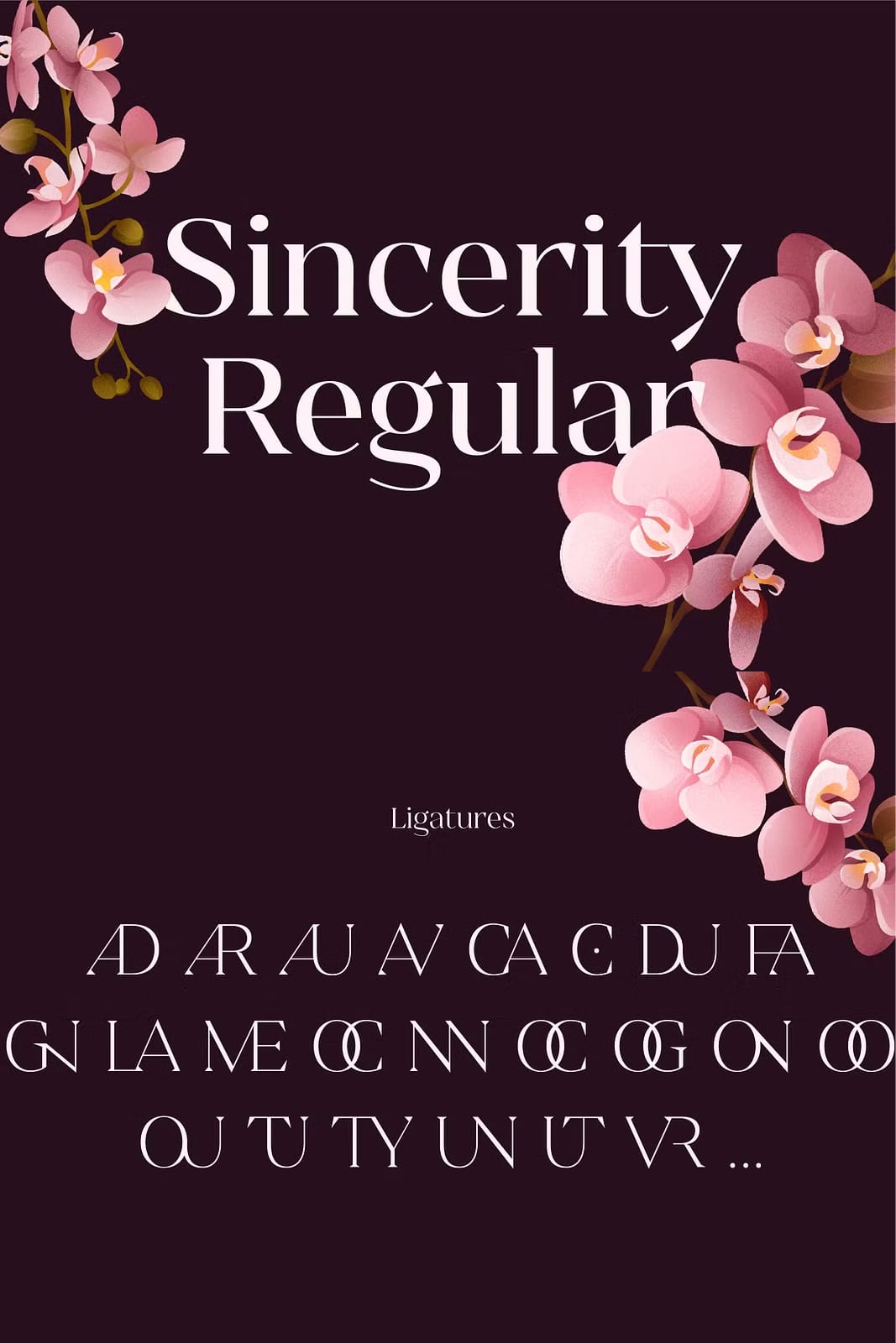 Sincerity Regular - Leasted - Graphics Template Resources