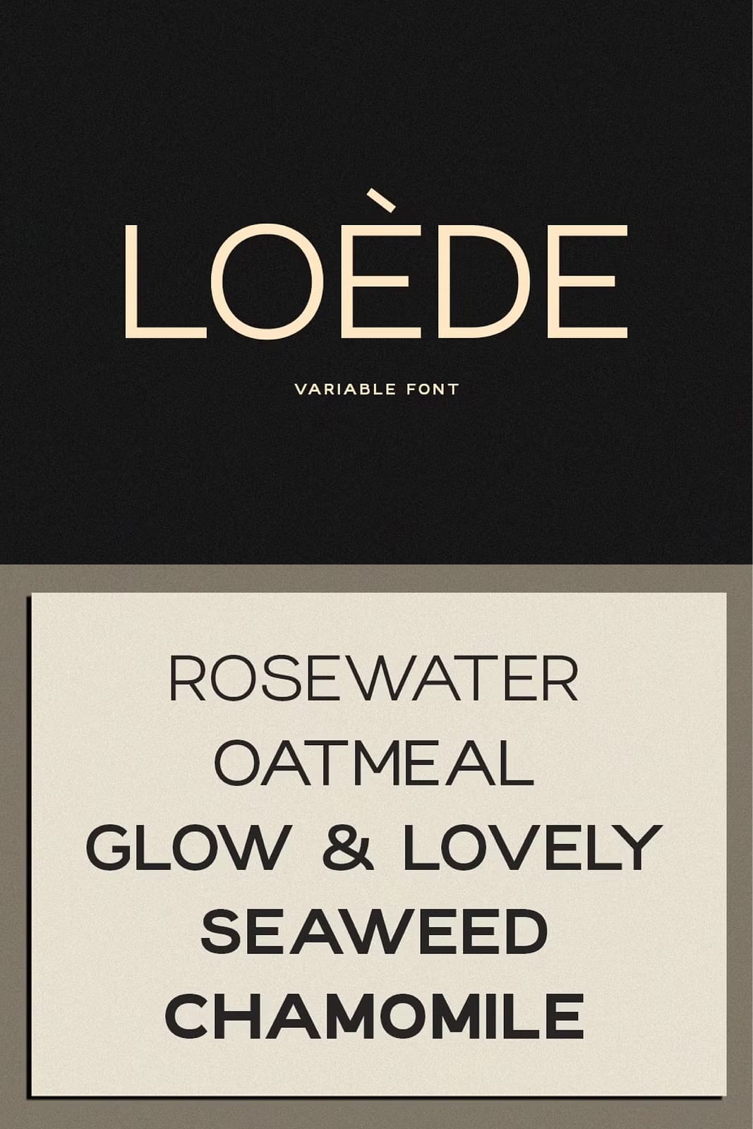 Loede - Clean Sans Family + Variable - Leasted - Graphics Template ...