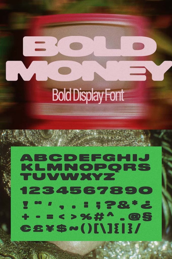 Bold Display Bold Money - Bold Display Font - Leasted - Graphics Template Resources